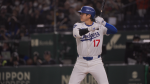 Homecoming: The Tokyo Series